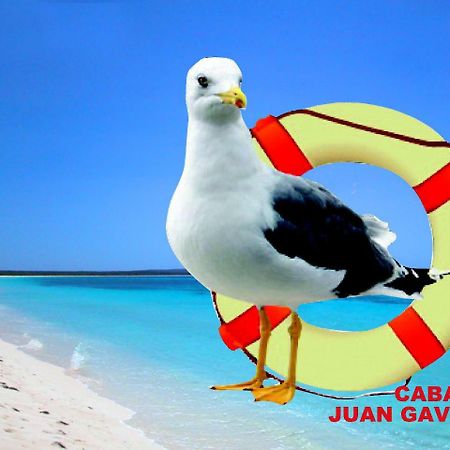 Cabañas Juan Gaviota Punta de Choros Exterior foto