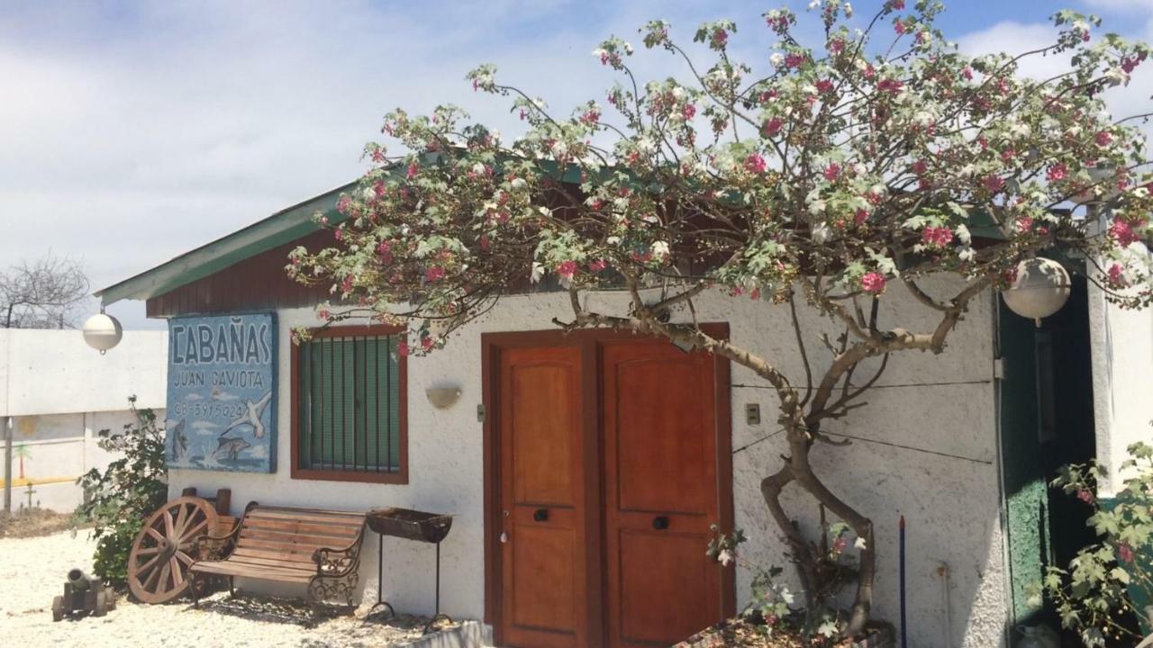 Cabañas Juan Gaviota Punta de Choros Exterior foto