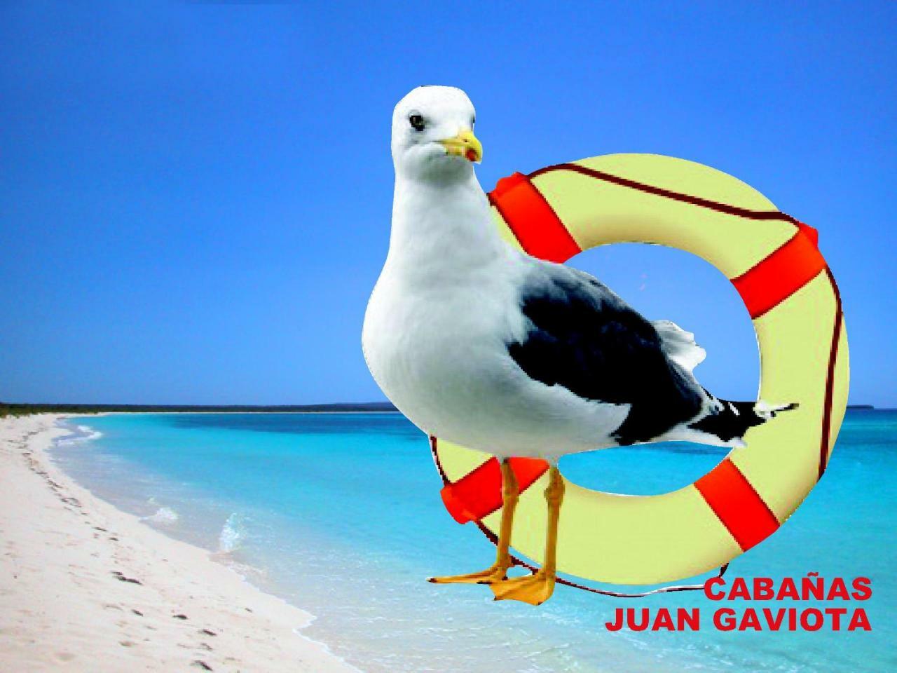 Cabañas Juan Gaviota Punta de Choros Exterior foto