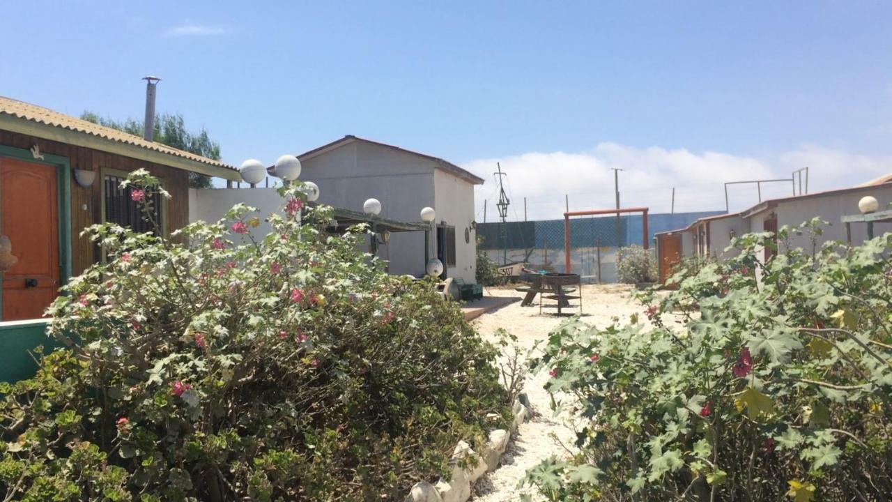 Cabañas Juan Gaviota Punta de Choros Exterior foto