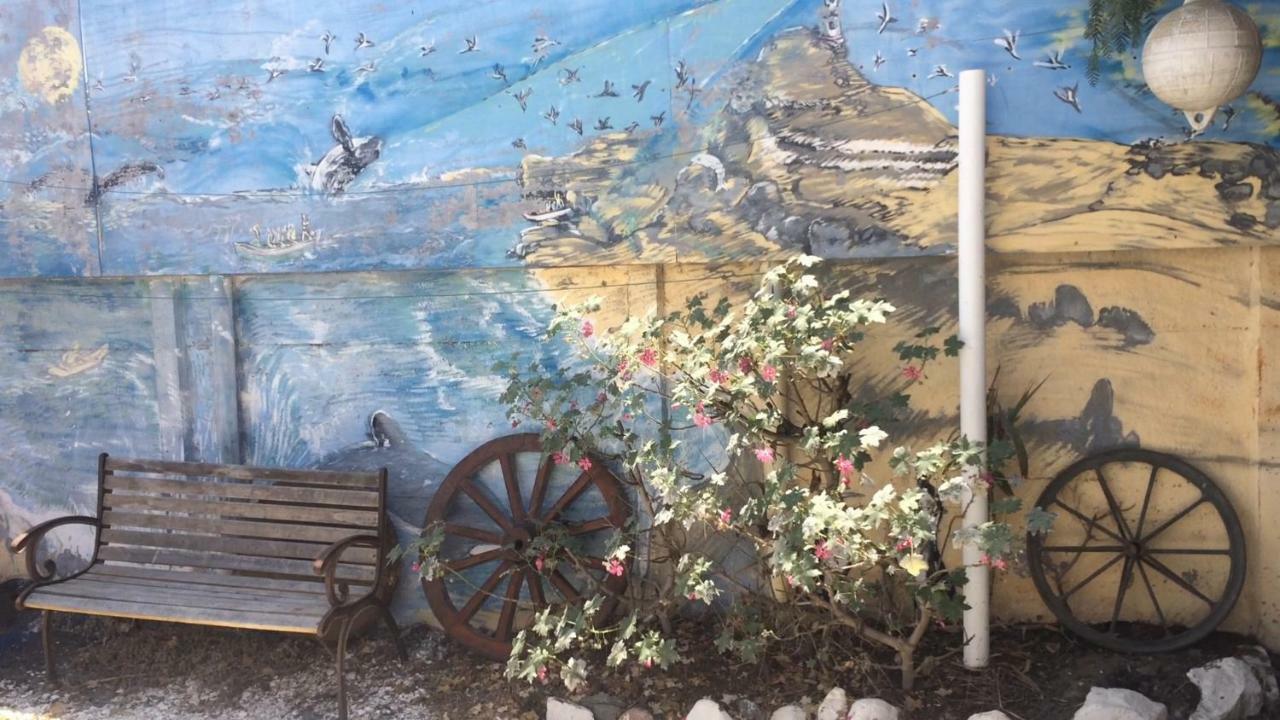Cabañas Juan Gaviota Punta de Choros Exterior foto