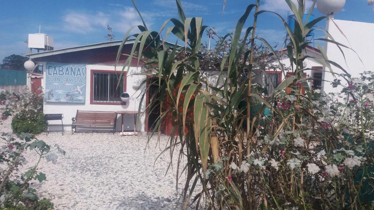 Cabañas Juan Gaviota Punta de Choros Exterior foto