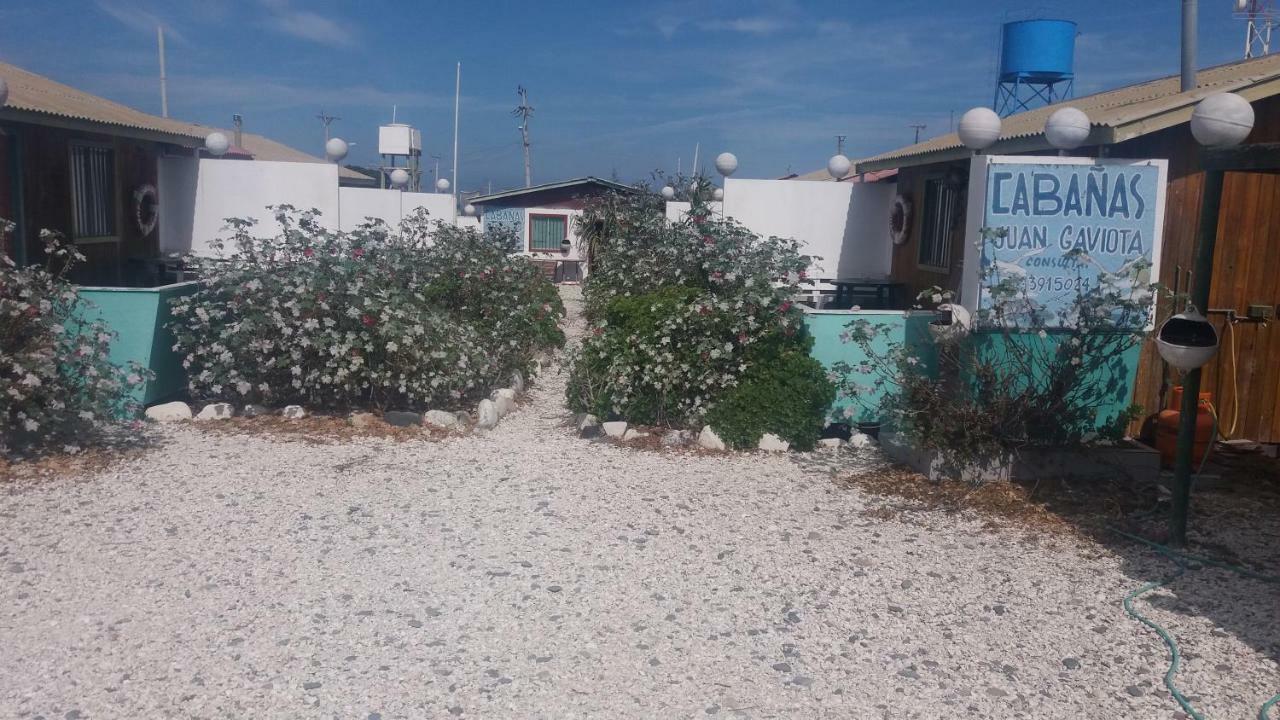Cabañas Juan Gaviota Punta de Choros Exterior foto